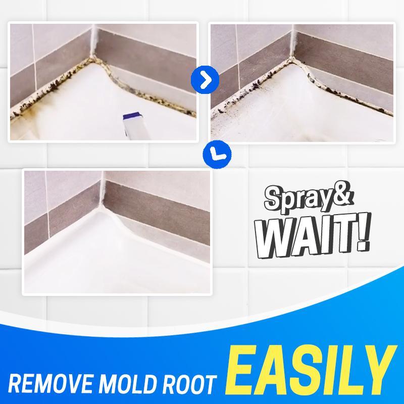 MoldOff Mildew Removal Spray