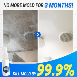 MoldOff™ Mildew Removal Spray
