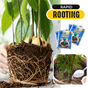 Rapid Rooting Powder