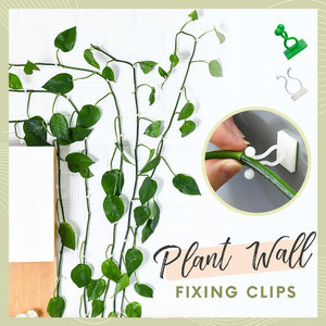 Plant Wall Climbing Fixing Clips (10PCS/50PCS)
